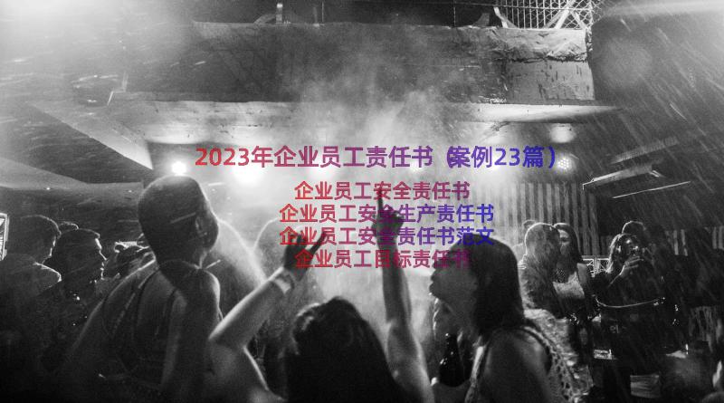 2023年企业员工责任书（案例23篇）