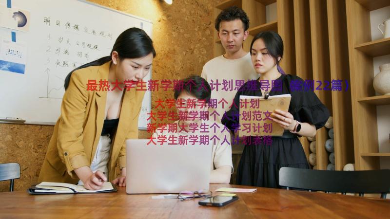 最热大学生新学期个人计划思维导图（案例22篇）