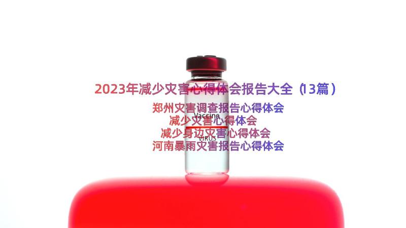 2023年减少灾害心得体会报告大全（13篇）