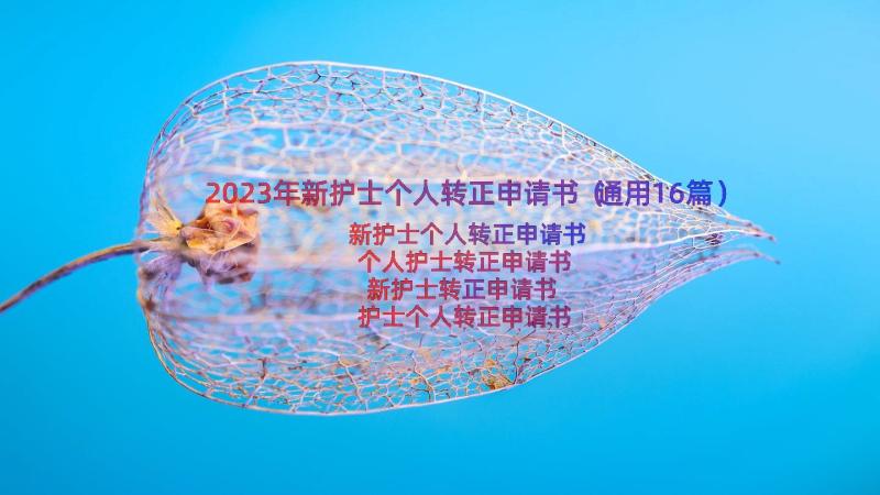 2023年新护士个人转正申请书（通用16篇）