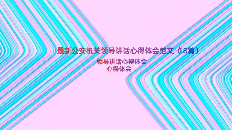 最新公安机关领导讲话心得体会范文（18篇）