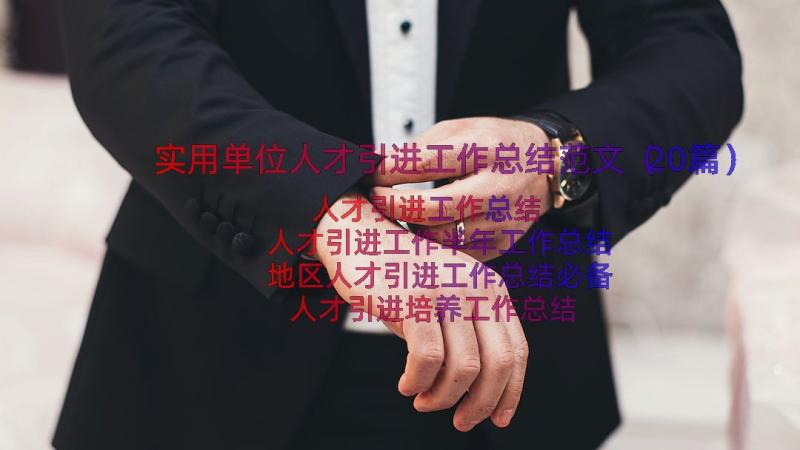 实用单位人才引进工作总结范文（20篇）