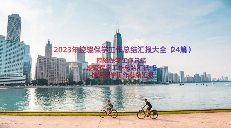 2023年控辍保学工作总结汇报大全（24篇）