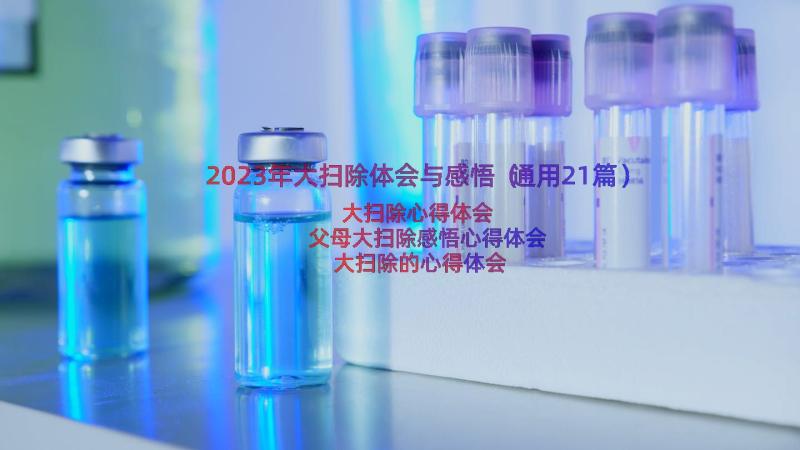 2023年大扫除体会与感悟（通用21篇）