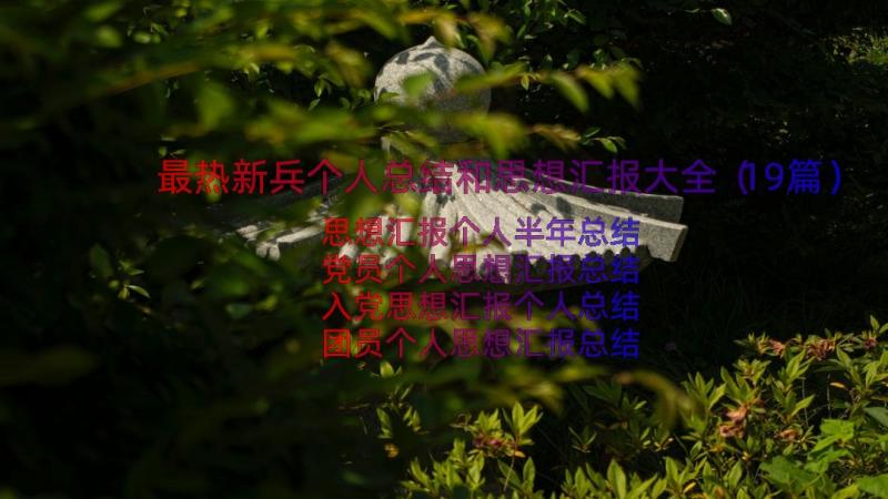 最热新兵个人总结和思想汇报大全（19篇）