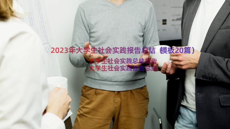 2023年大学生社会实践报告总结（模板20篇）