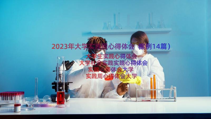 2023年大学实践周心得体会（案例14篇）