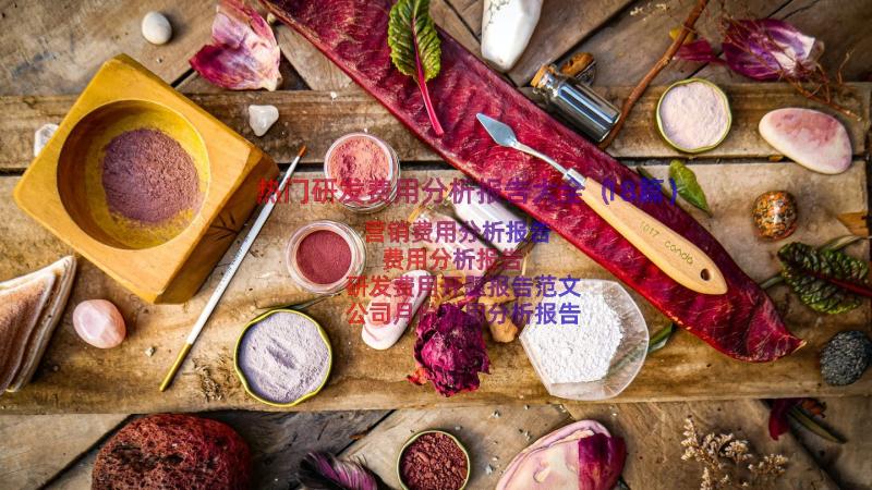 热门研发费用分析报告大全（18篇）