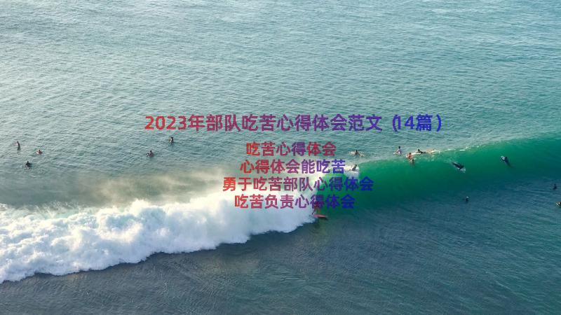 2023年部队吃苦心得体会范文（14篇）