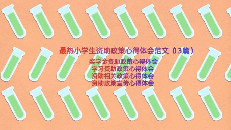 最热小学生资助政策心得体会范文（13篇）