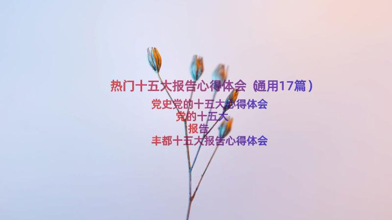 热门十五大报告心得体会（通用17篇）