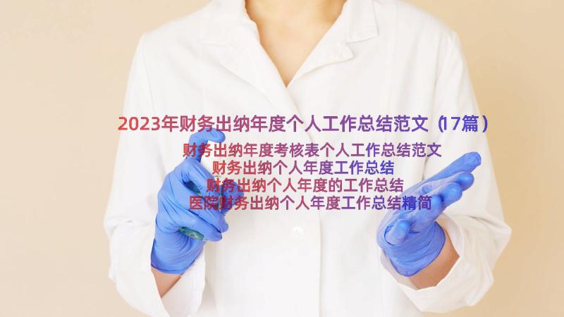 2023年财务出纳年度个人工作总结范文（17篇）