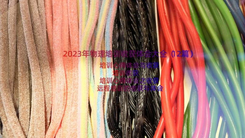 2023年物理培训收获体会大全（12篇）