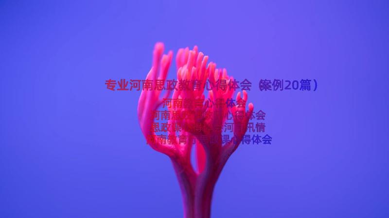 专业河南思政教育心得体会（案例20篇）