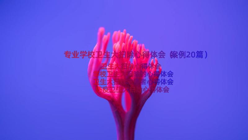 专业学校卫生大扫除心得体会（案例20篇）