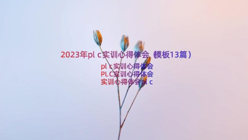 2023年plc实训心得体会（模板13篇）