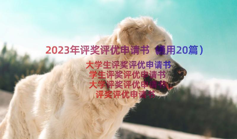 2023年评奖评优申请书（通用20篇）