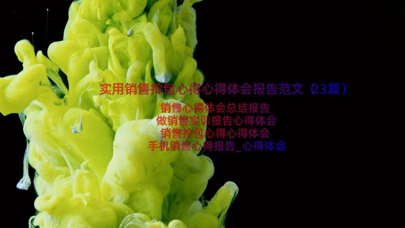 实用销售拎包心得心得体会报告范文（23篇）