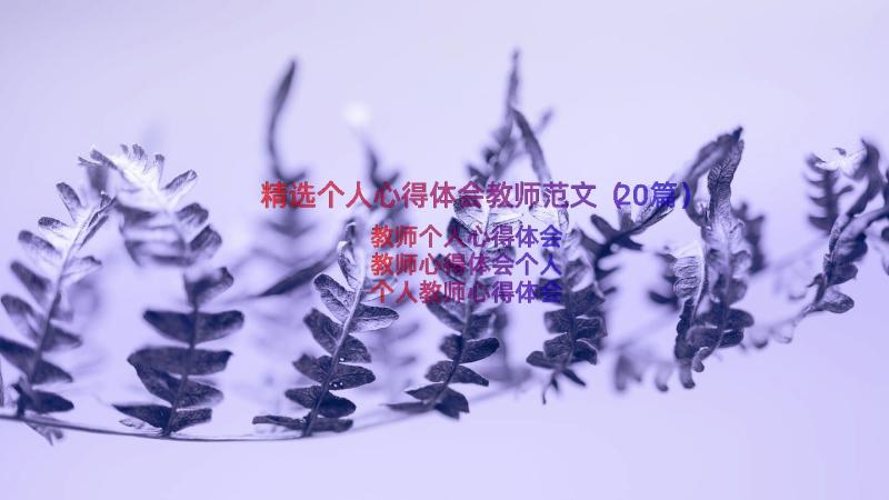 精选个人心得体会教师范文（20篇）