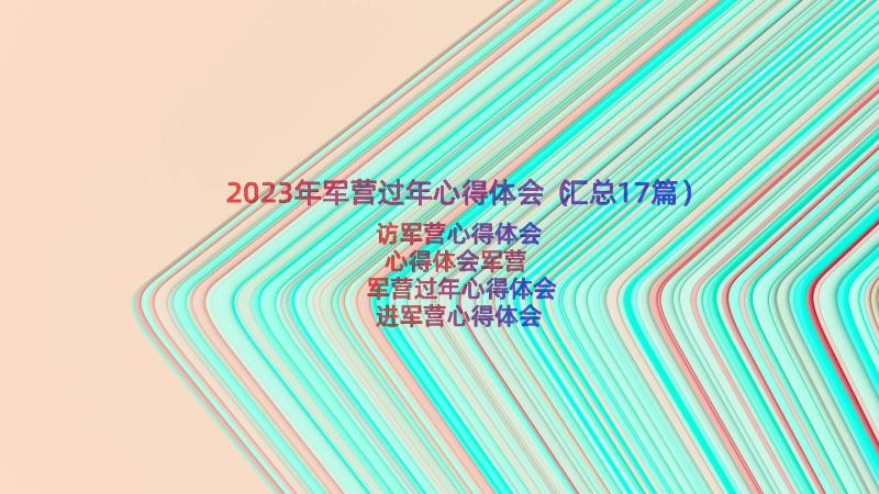 2023年军营过年心得体会（汇总17篇）