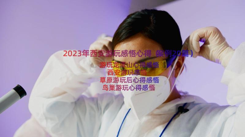 2023年西安游玩感悟心得（案例20篇）