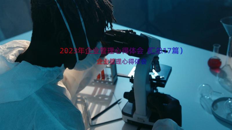 2023年企业管理心得体会（汇总17篇）