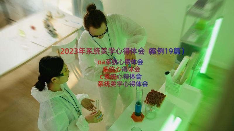 2023年系统美学心得体会（案例19篇）