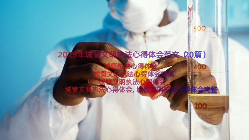 2023年城管文明执法心得体会范文（20篇）