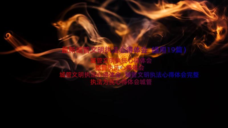 最新城管文明执法心得体会（通用19篇）