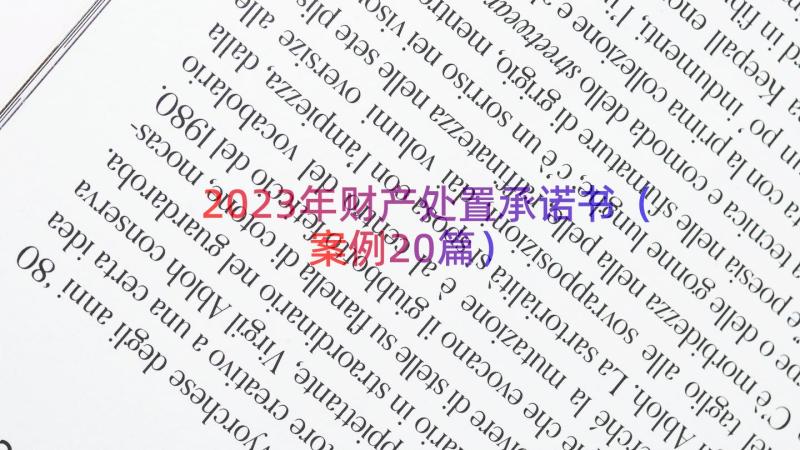 2023年财产处置承诺书（案例20篇）