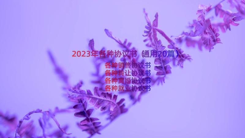 2023年各种协议书（通用20篇）