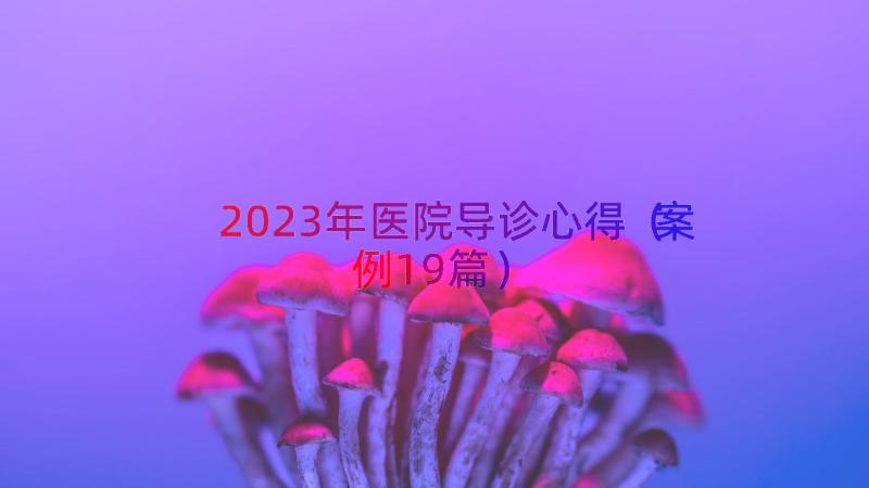 2023年医院导诊心得（案例19篇）