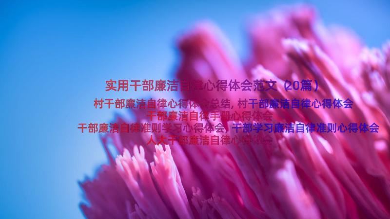 实用干部廉洁自律心得体会范文（20篇）