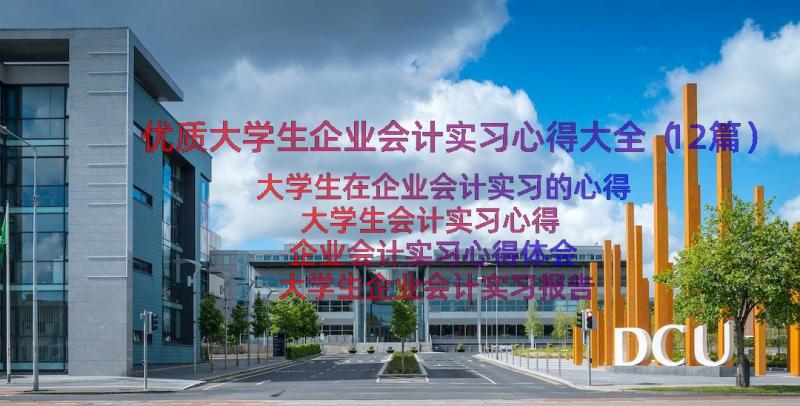 优质大学生企业会计实习心得大全（12篇）