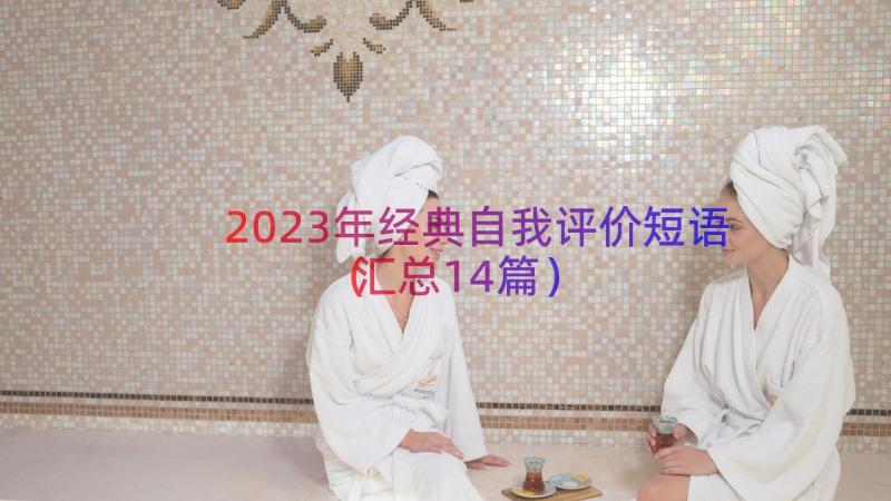 2023年经典自我评价短语（汇总14篇）