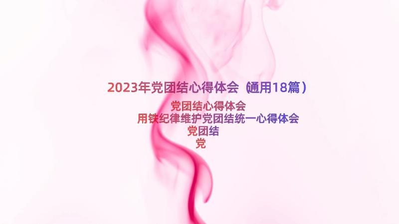 2023年党团结心得体会（通用18篇）