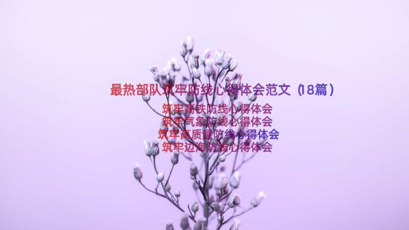 最热部队筑牢防线心得体会范文（18篇）