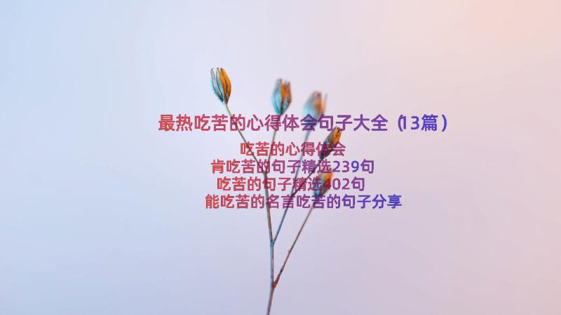 最热吃苦的心得体会句子大全（13篇）