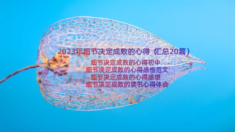 2023年细节决定成败的心得（汇总20篇）