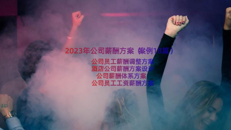 2023年公司薪酬方案（案例18篇）