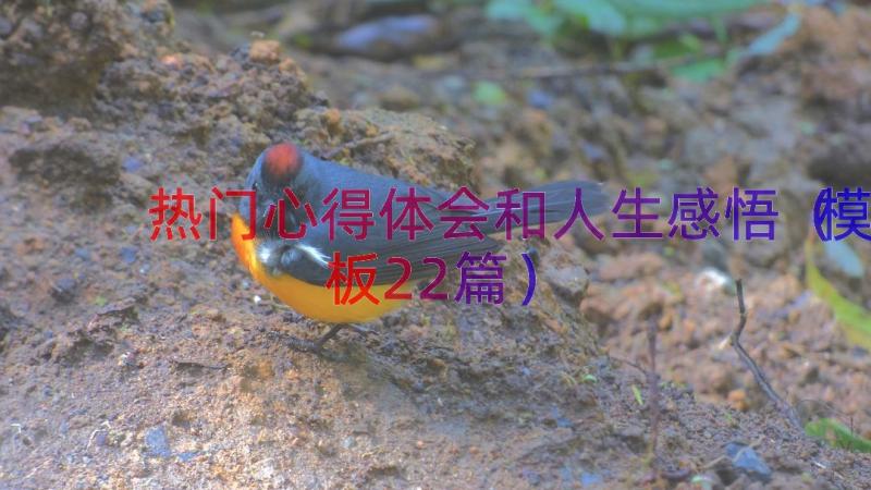 热门心得体会和人生感悟（模板22篇）