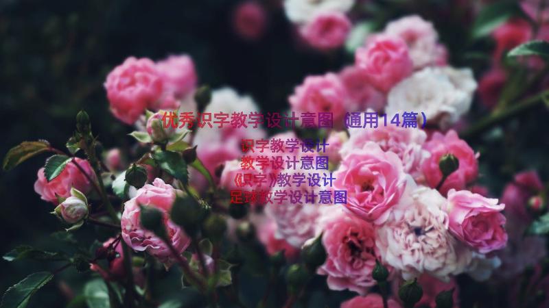 优秀识字教学设计意图（通用14篇）