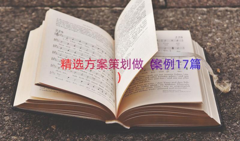 精选方案策划做（案例17篇）