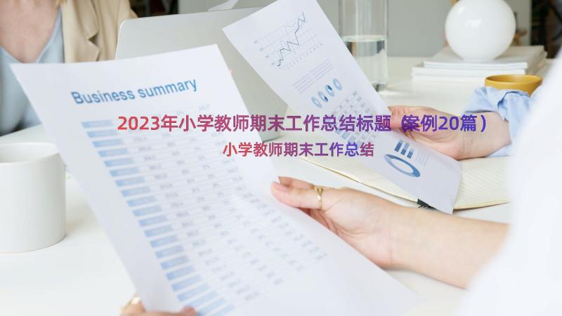 2023年小学教师期末工作总结标题（案例20篇）