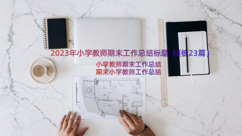 2023年小学教师期末工作总结标题（模板23篇）