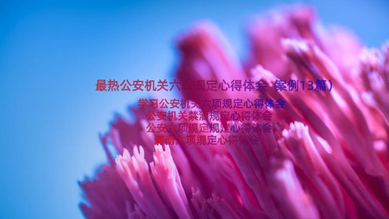 最热公安机关六项规定心得体会（案例13篇）