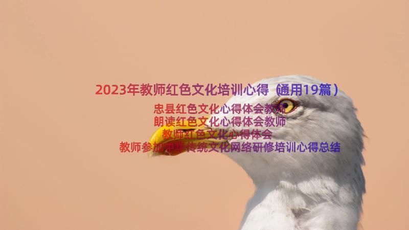 2023年教师红色文化培训心得（通用19篇）