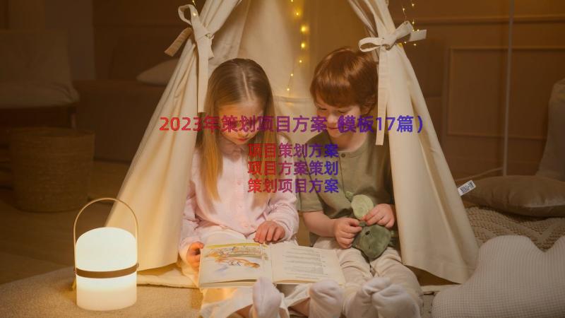 2023年策划项目方案（模板17篇）