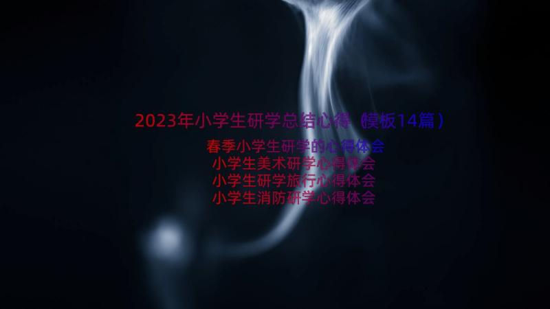 2023年小学生研学总结心得（模板14篇）