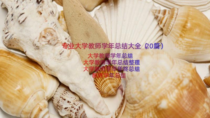 专业大学教师学年总结大全（20篇）